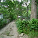 Terry Forest Photo 9