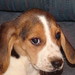 Judy Ripley Photo 10