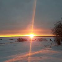 Steven Ernst Photo 15