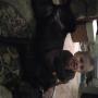 Luke Conklin Photo 15