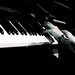 Steven Snyder Photo 51