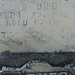Ann Barnes Photo 29