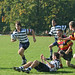 Cameron Haynes Photo 14