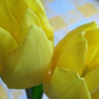 Julia Winters Photo 24