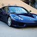 Matthew Ferrari Photo 4