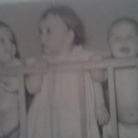 Vicki Ladd Photo 5