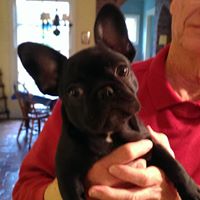 Sherry Davidson Photo 38