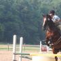 Sarah Mccracken Photo 25