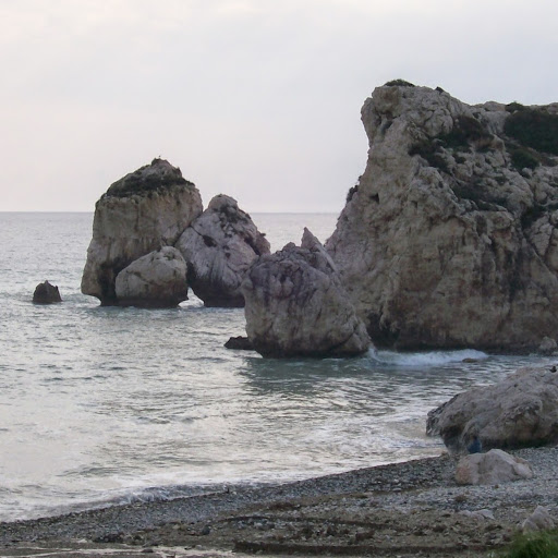 Anita Dipasquale Photo 1