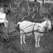Dorothy Cooper Photo 42
