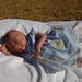 Addie Fuller Photo 5