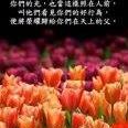 Agnes Yeung Photo 22