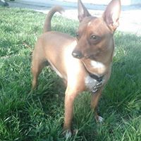 Joy Dotson Photo 13