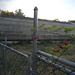 Mark Nay Photo 15