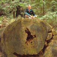 Jeffrey Pollack Photo 9
