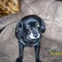Ann Blake Photo 42