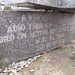 Jane Pryor Photo 28