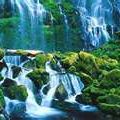 Debra Bower Photo 10