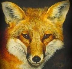 Sandy Fox Photo 28