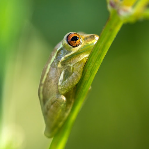 Robert Clapp Photo 3