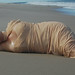Jennifer Vandenberg Photo 26