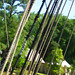 Elizabeth Pulley Photo 6