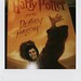 Suzanne Potter Photo 29