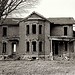 Mark Constantine Photo 32
