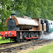 David Marston Photo 34