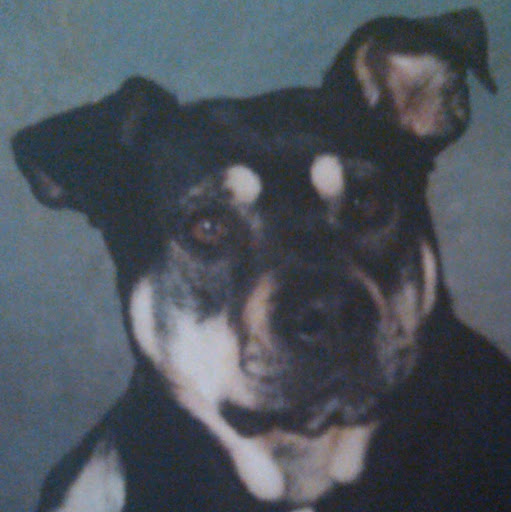 Larry Bloom Photo 31