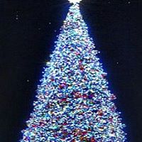 Lindsay Ball Photo 4