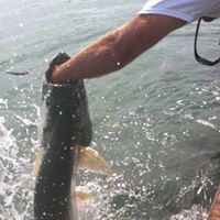 Ray Skinner Photo 41