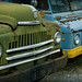 Robin Worthington Photo 11