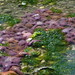 Jeff Simons Photo 21