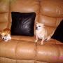 Linda Nadeau Photo 29