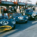 George Constantine Photo 32