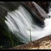 Douglas Creek Photo 9