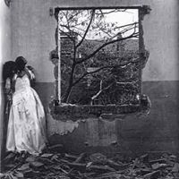 Issam Daou Photo 9