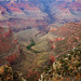 Randall Bright Photo 24