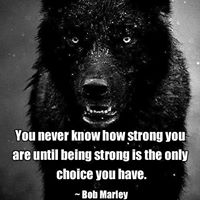 Stephanie Amadio Photo 1