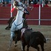 Maximo Javier Photo 15
