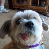 Debbie Hartz Photo 3