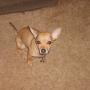 Heather Sayre Photo 20