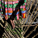 David Cordes Photo 31
