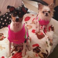 Cheryl Nobles Photo 25