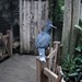 Morris Quirk Photo 3