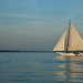Martha Lewis Photo 8