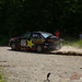 Timothy Doyle Photo 54