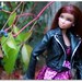 Erin Wilder Photo 10