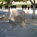 Walter Hays Photo 15